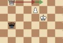 Online Chess Questions & Answers, February 2021